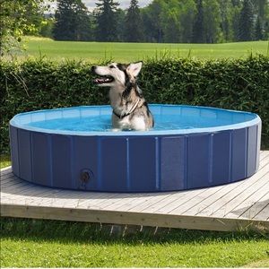 Dog or Kid Pool